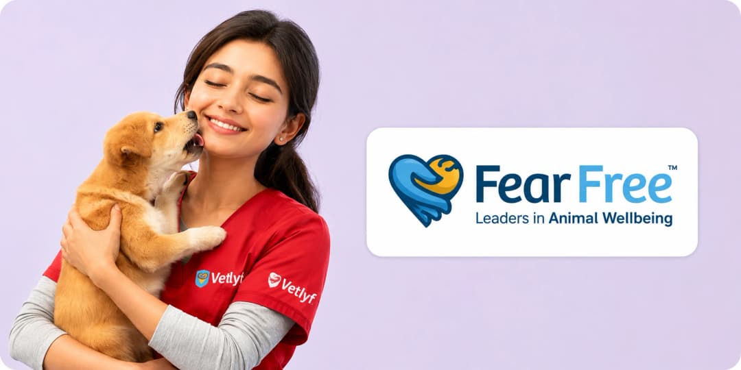 Vetlyf is Fear Free® Certified Vetlyf veterinarian holding a puppy - Fear Free Certified care