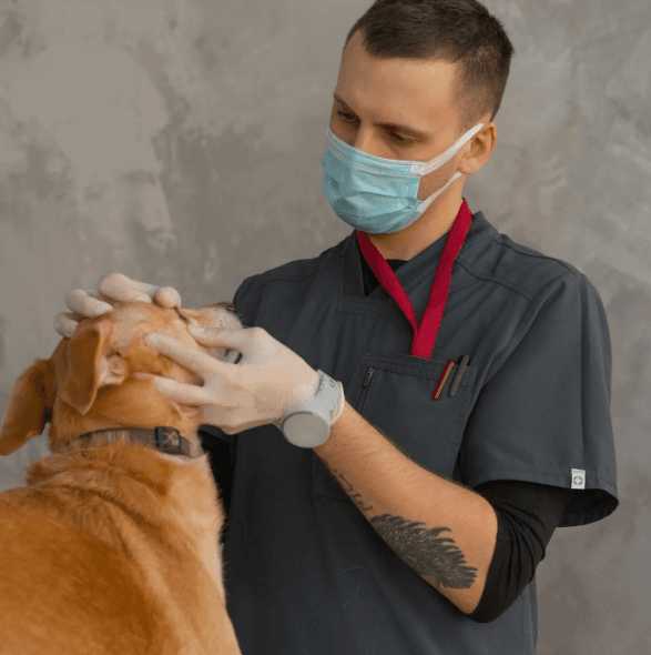 General Pet Health Check