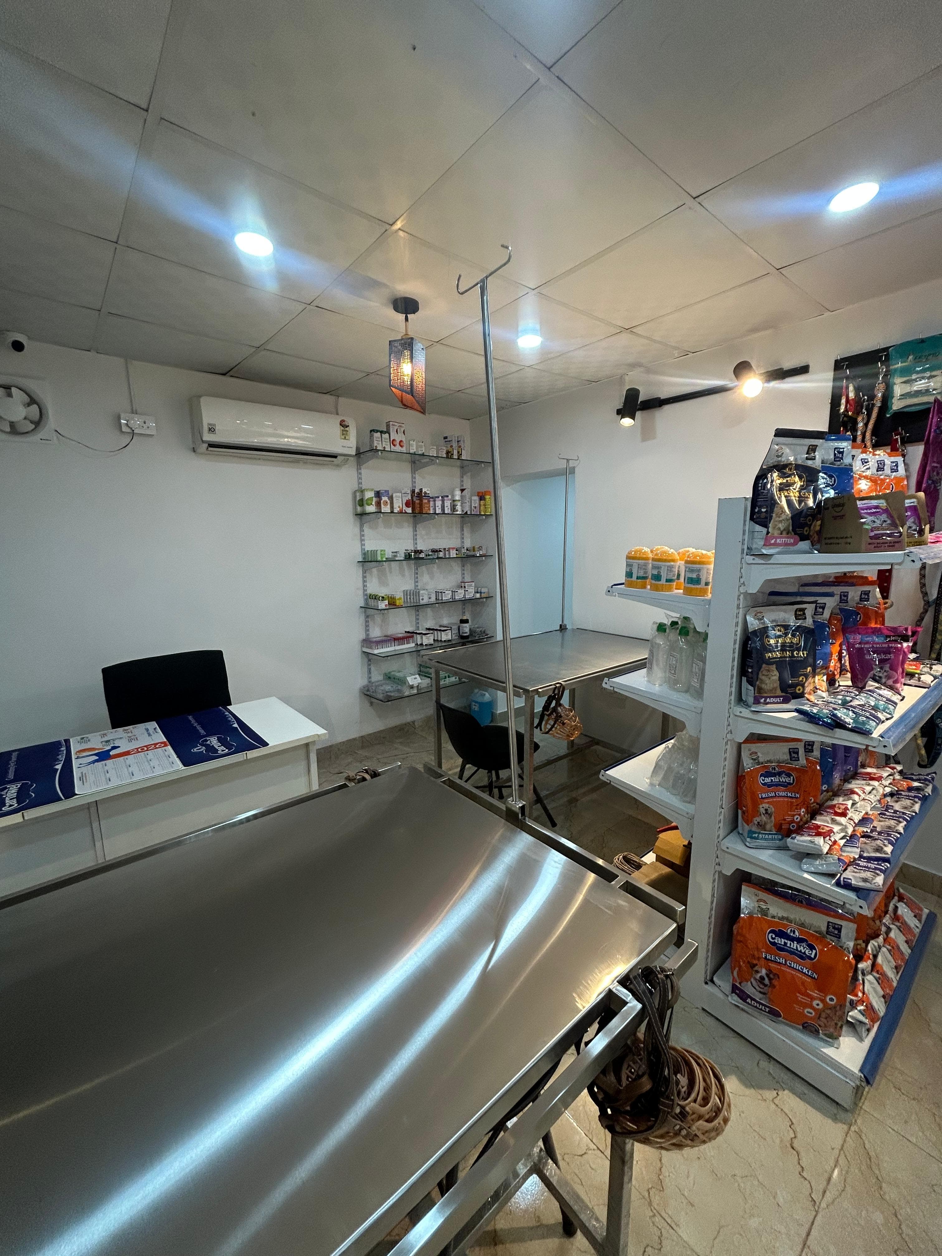 Modern veterinary clinic interior