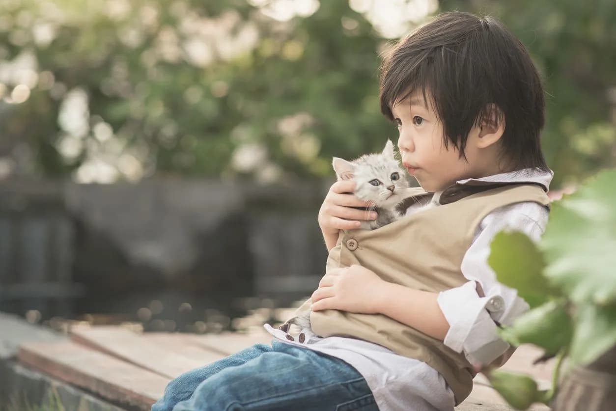 Puppy & Dog Vaccinations: Essential Life Stage Schedule