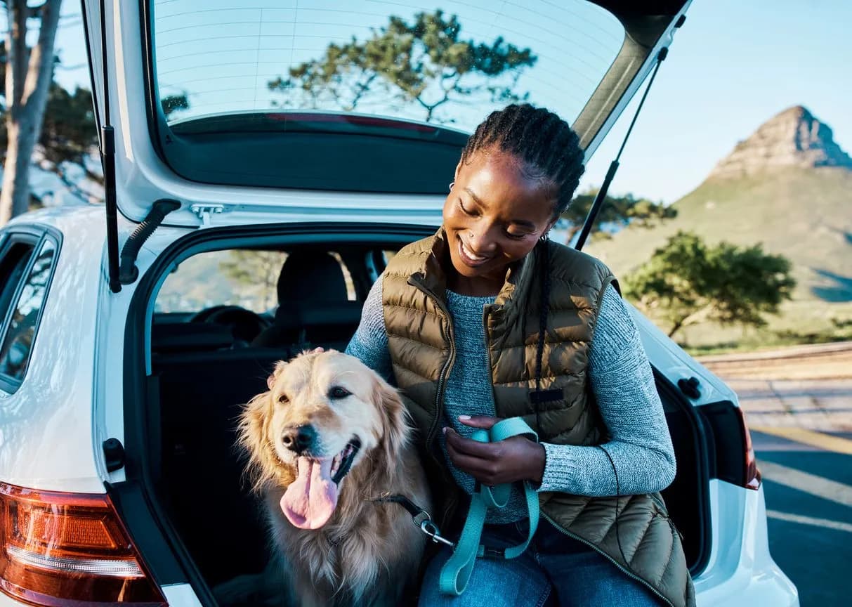 Understanding Pet Travel Regulations