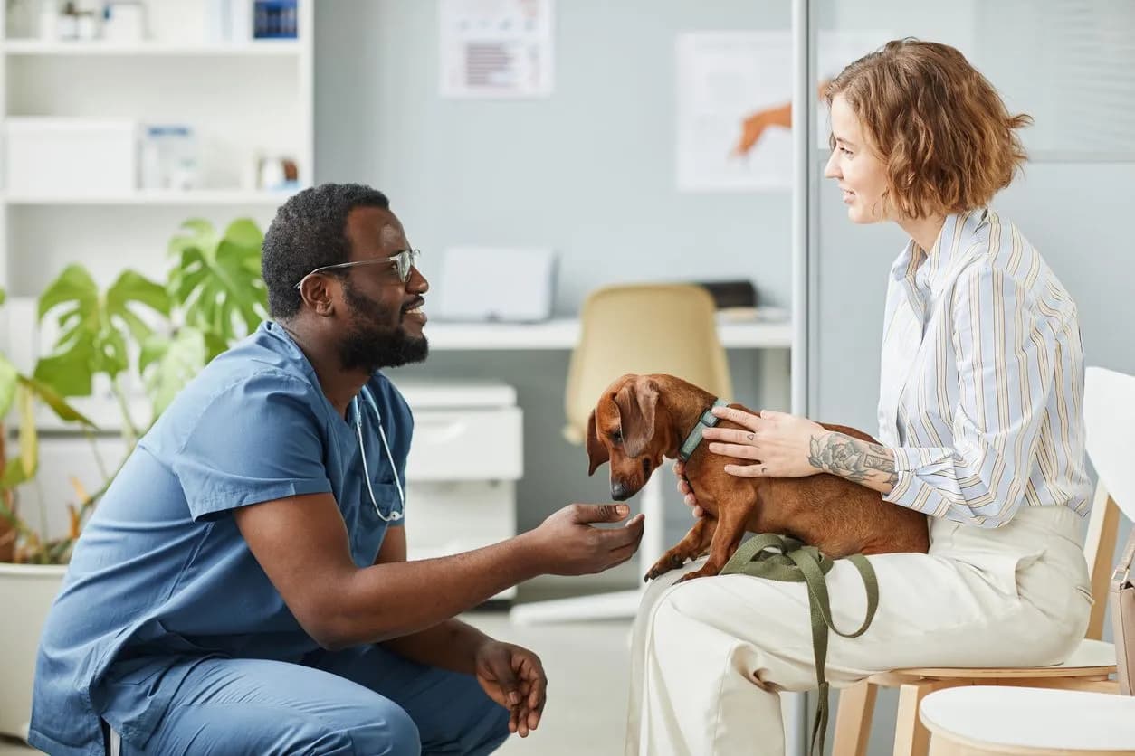Canine Epilepsy: Understanding and Managing Seizures