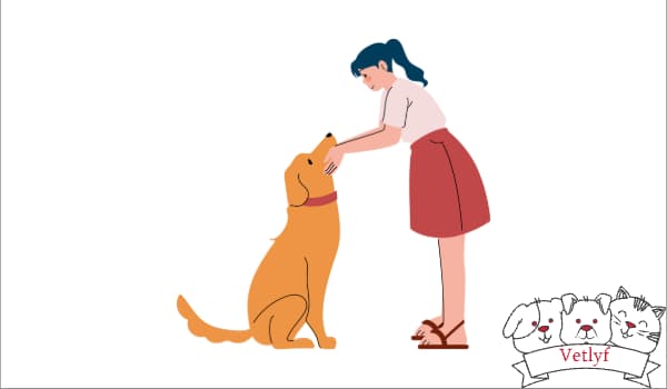 5 Unexpected Benefits of Dog Vaccinations That Will Amaze You