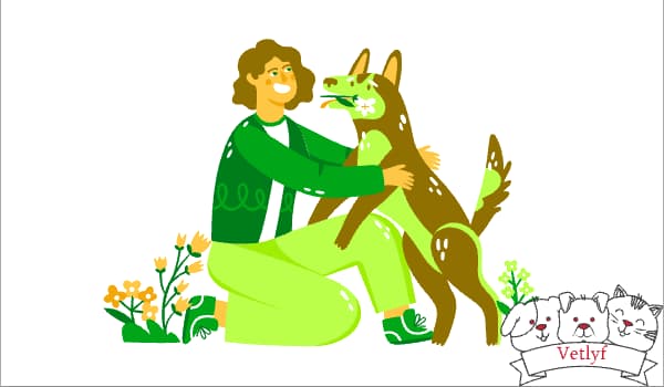 Guide to Choosing Pet Insurance: 20 Must-Know Parameters for Dogs & Cats in 2025